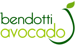 Bendotti Avocado
