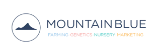 Mountain Blue