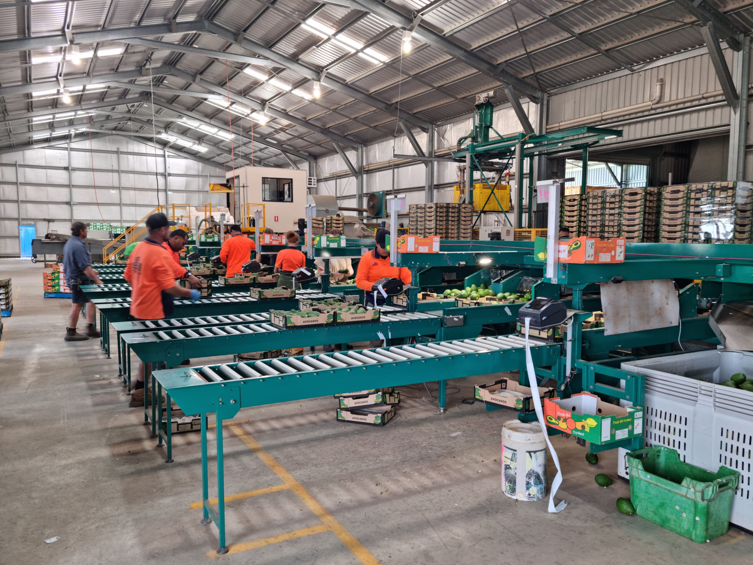 FreshTrack packing shed
